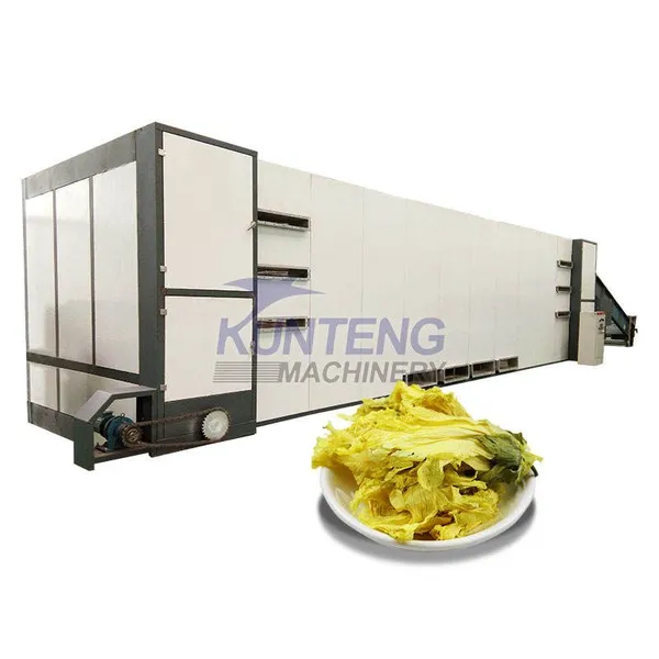 Large Capacity Agriculture Material Drying Machine Mesh Belt Conveyor Dryer Machine Dry Fruit and Vegetables EPC