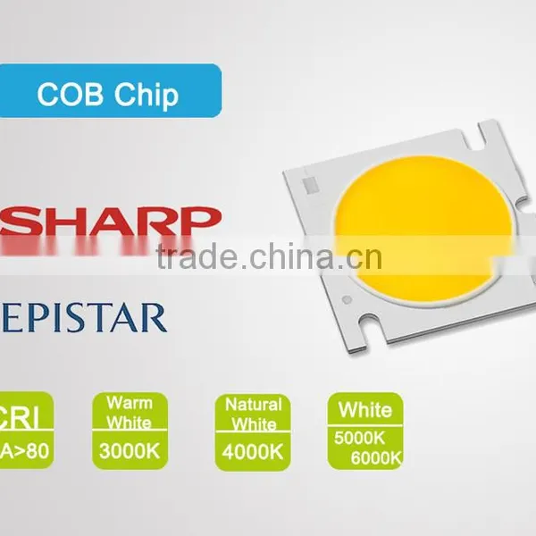 Ronse 10W COB Led Track Light High Quality Good Price photo-6