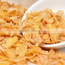 Full Automatic Corn Flakes Food Production Line photo-3