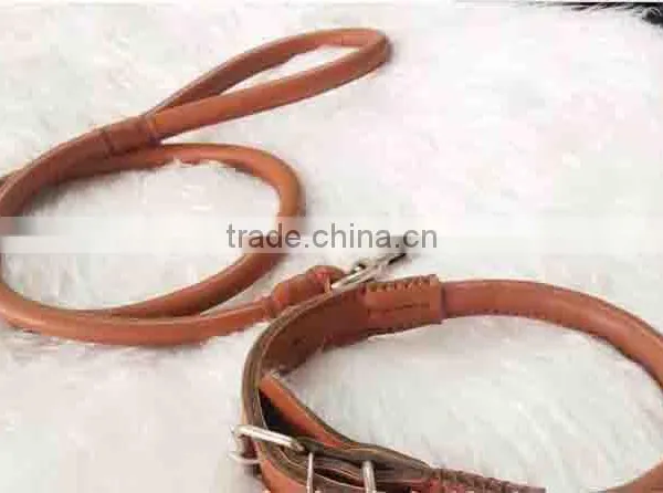 Retractable Dog Leash