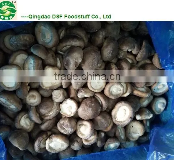 IQF Frozen Shiitake Mushrooms photo-6