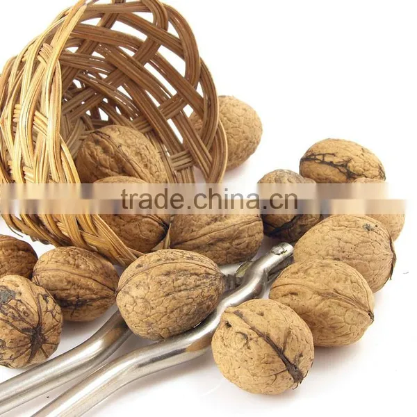 Good Quality Walnut /light Yellow Walnut Color for Sale photo-5