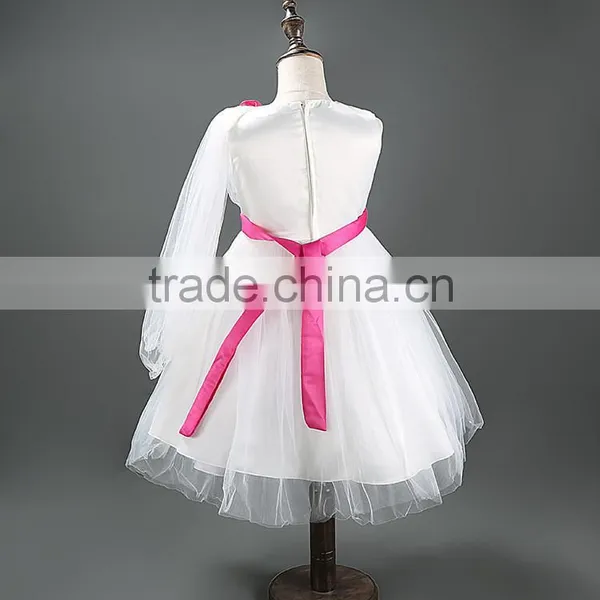 Wholesale Lace Applique Tutu Dress Chiffon Princess Dresses for Girls of 6 Years Old TR-WS37 photo-4