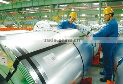 HDG Galvanized Steel Sheets in Coil photo-2