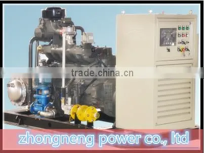 China Hot Sale Biogass Power Gensets