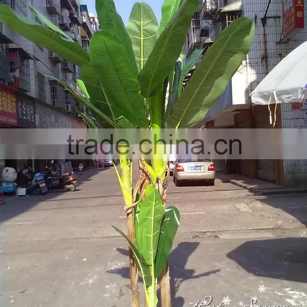 Popular High Quality Low Cost Artificial Banana Tree for Indoor Decoration photo-2