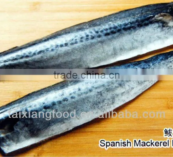 Spanish Mackerel Fillet