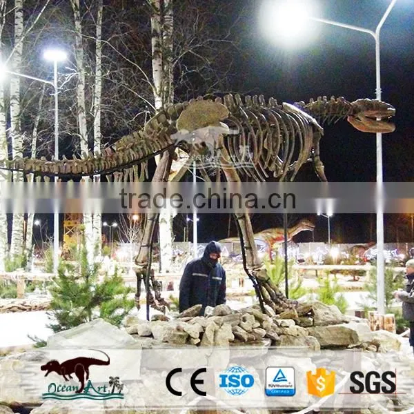 OA-DS-62S5 Exhibition Museum Fiberglass Enormous Dinosaur Fossils photo-2
