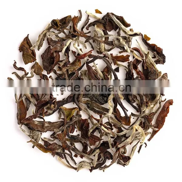 Organic Oolong Tea photo-4
