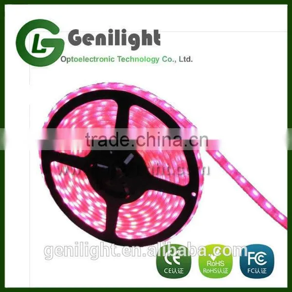 New High Quality 5M 5050/3528 SMD Double Row 1200 LED Flexible Strip Lights photo-4