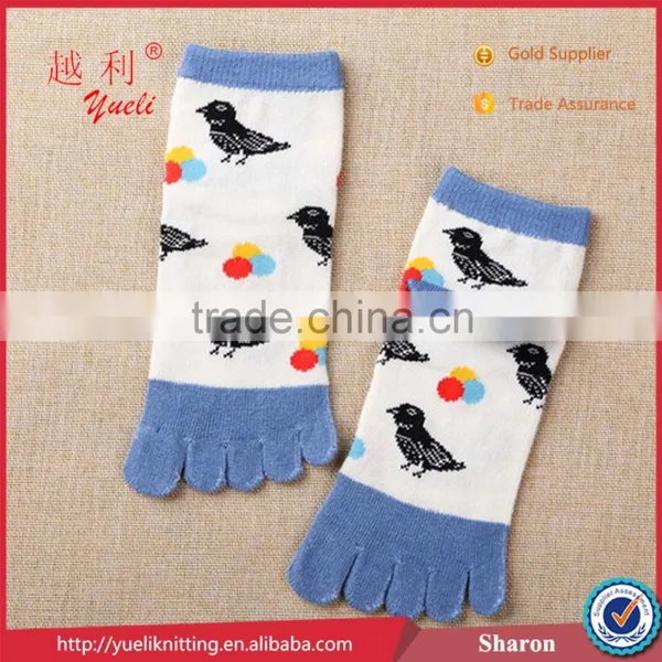 Swallow Five Toe Sock Used Lonati Sock Knitting Machines Soft Sock photo-3