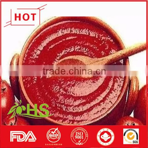 Hot and Cold Break Tomato Paste photo-2