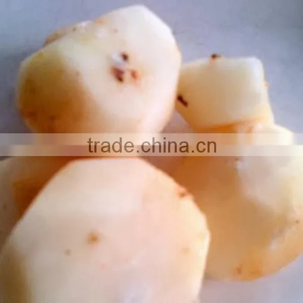 Canned Vegetable Water Chestnut for Sale