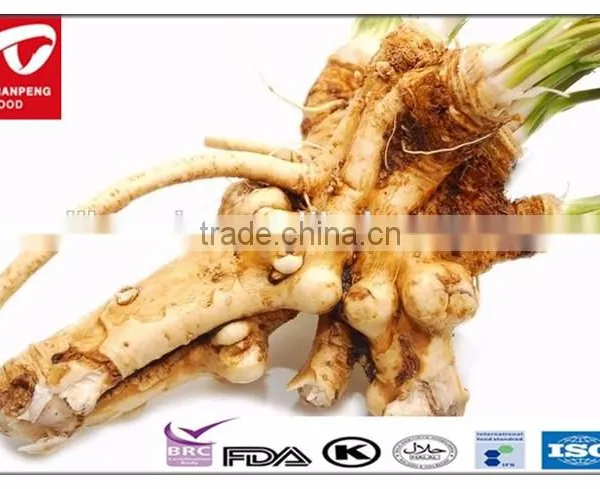 Raw Horseradish Root for Sale photo-6