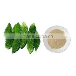 Natural Bitter Guard Powder