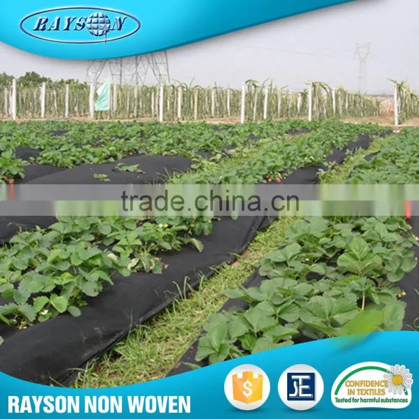 China Supplier Mulching Flower Wrapping Material Agriculture Black Plastic Film photo-3