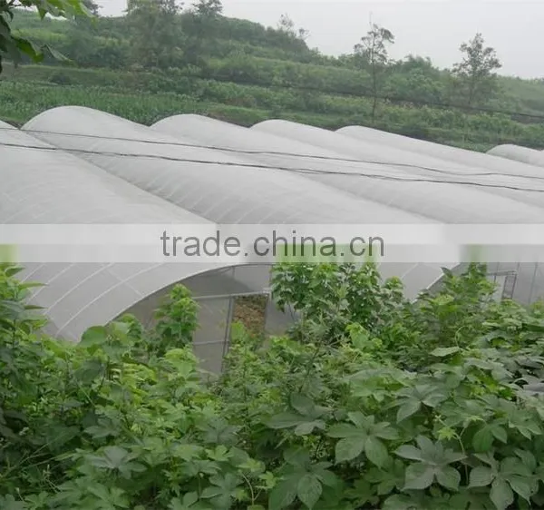 Cheap Greenhouse Fogging System photo-5