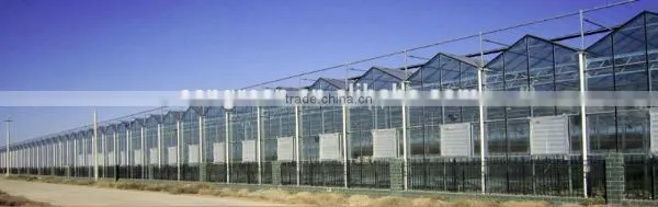Glass Greenhouses China photo-2