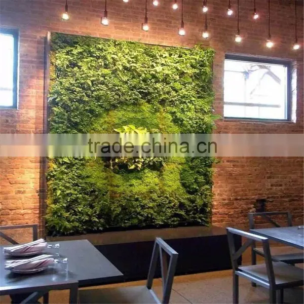 2017 Hot Sale Artificial Ornamental Plants for Wall Decoration Cheap Artificial Plant Wall photo-3