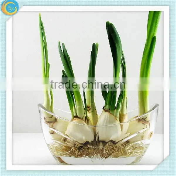 Candle Jar