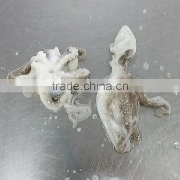 IQF Best Price Baby Octopus For Sale photo-3