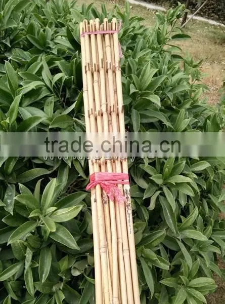 Factory Direct Sale Bamboo Cane Trellis /holding Bamboo Trellis/make Bamboo Garden Trellis photo-4