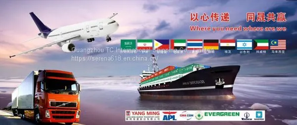 International transportation, high-quality service, reasonable price