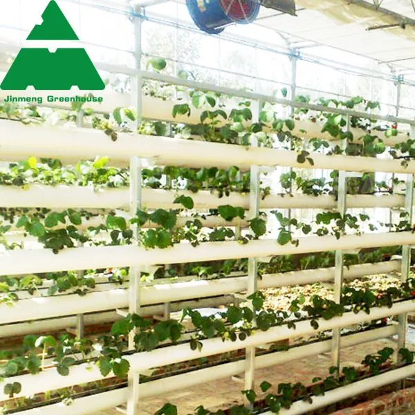 Intelligent PC Sheet Greenhouse With Hydroponic Growing System photo-3
