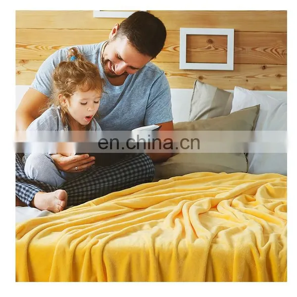 Wholesale 100% Polyester Lightweight Double Sided Flannel Fleece Blanket For Adult photo-2
