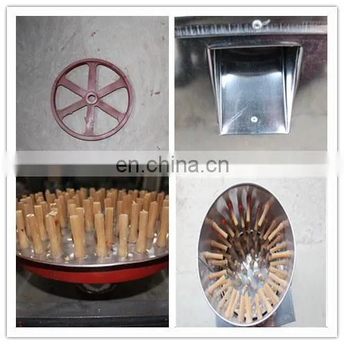 TA-30 Farm Use Quail Plucker Machine Commercial Quail Poultry Defeathering Machine 230v for Sale in Germany photo-5