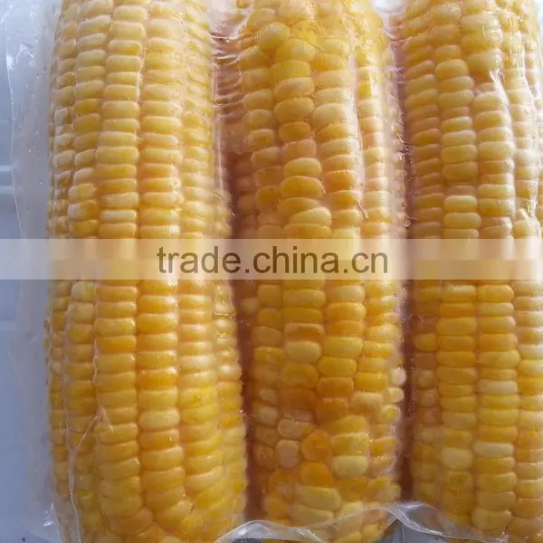 USA Frozen Yellow Sweet Corn From Vietnam photo-2