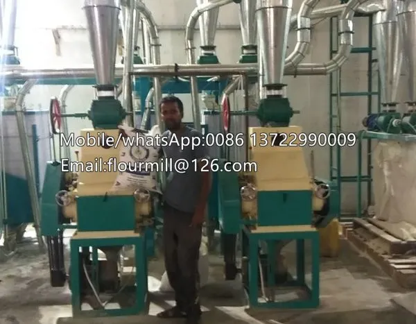 Industrial Maize Corn Flour Mill Plant Corn Grits Making Machine Semolina Processing Machine photo-3