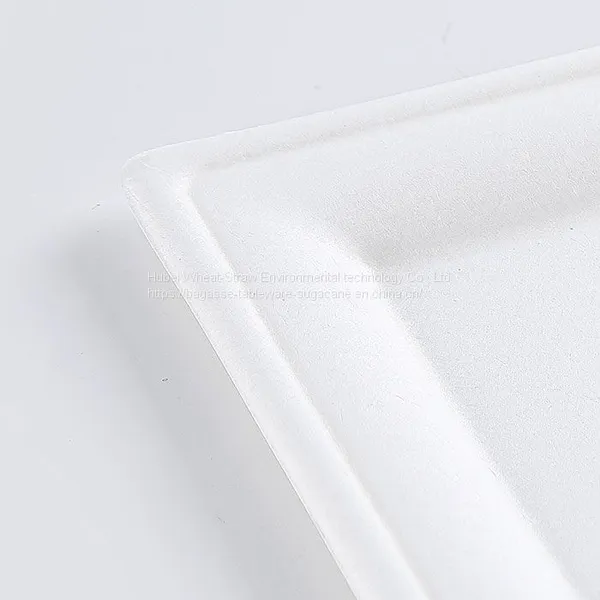 Disposable Biodegradable 10INCH Square Plate Take Away Sugarcane photo-5