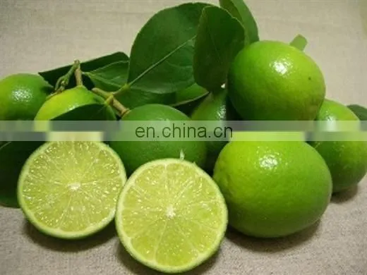 Organic Green Fresh Lemon Exported photo-3