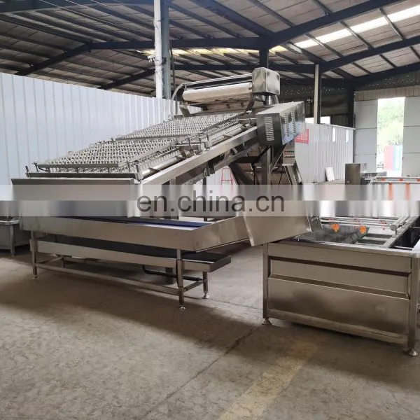 Automatic Shrimp Peeling Machine Capacity:40-50kg(Raw Shrimp)/h photo-3