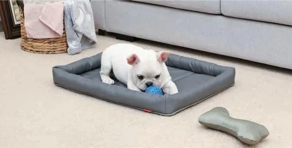 Pet Bed for Crates photo-2