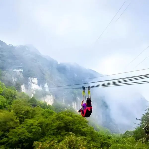 Zip‑line photo-2
