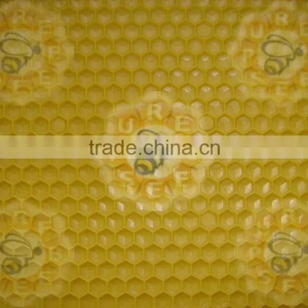 Purebees Beekeeping Equipment Apis Mellifera Beeswax Plastic Foundation Sheet photo-4