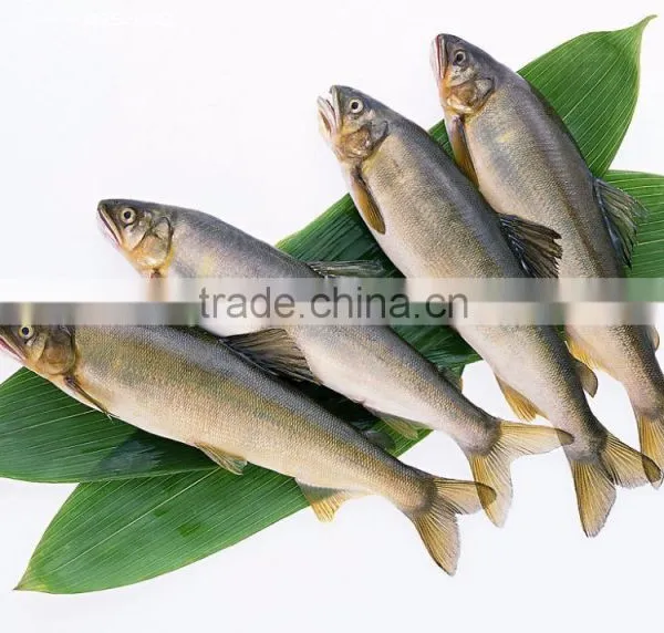 Supermarket Manual Fish Process Machine/fish Killing Machine photo-6