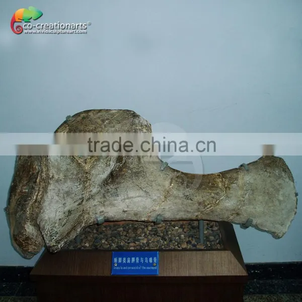 T-rex Resin Skull Fossil photo-2