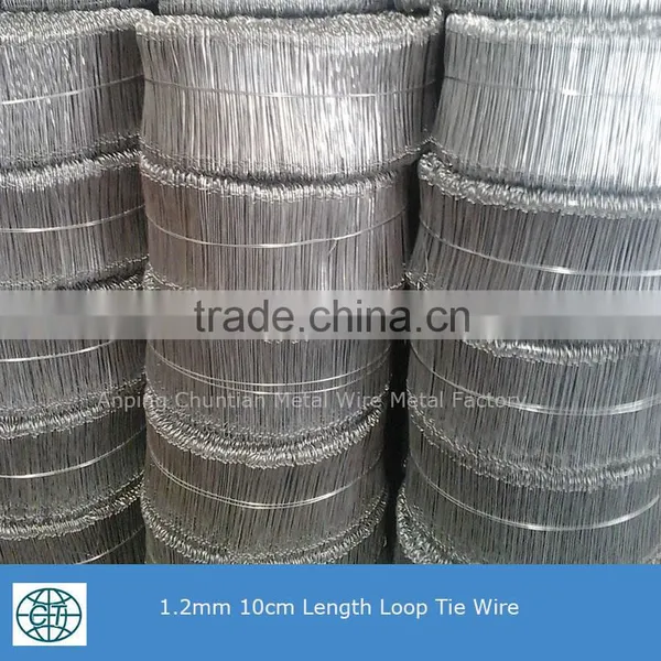 Low Price Galvanized Double Loop Tie Wire for Binding Wire photo-2