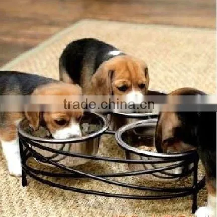 Three Hole Metal Balck Pet Bowl