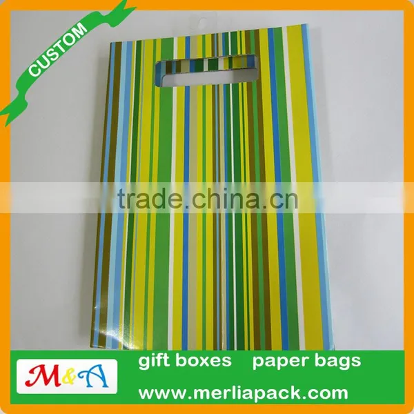 Luxury Paper Gift Bags Party Wedding Birthday With Euro Hook Slot Hang Tabs Bag photo-2