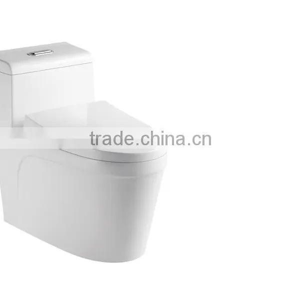 Ceramic Floor Mounted 300 400mm Roughing in Siphonic Toilet photo-4