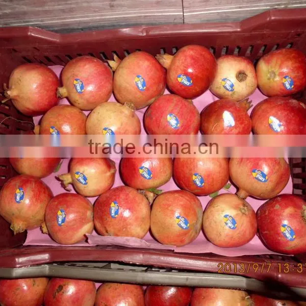 Fresh Pomegranate photo-3