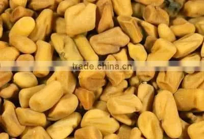 FENUGREEK SEEDS photo-4