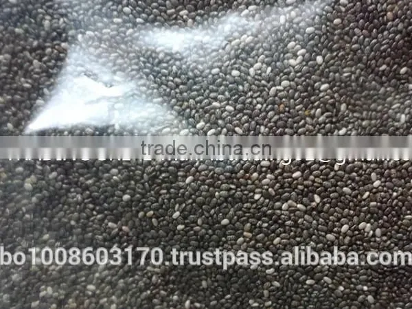 Organic Chia Seed photo-4