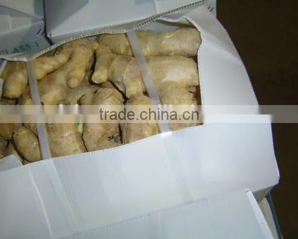 Air Dried Fresh Gingers Supplier photo-4