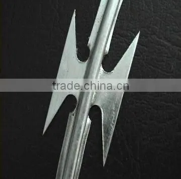 Wholesale CBT-65 Hot-dipped Galvanized Razor Barbed Wire photo-6