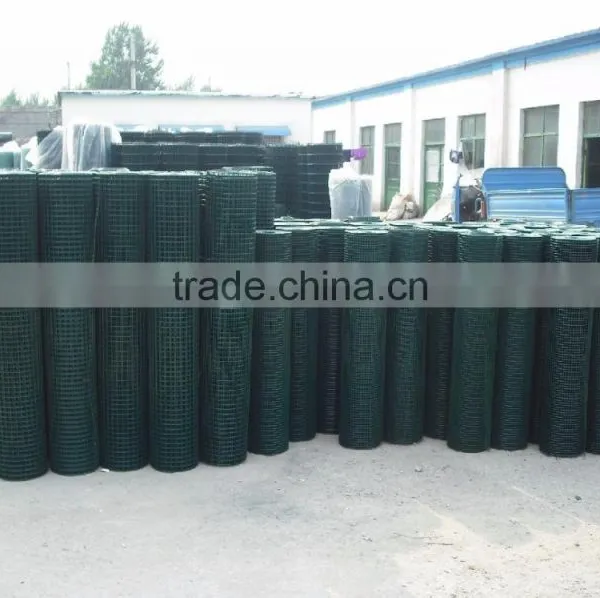 Green Pvc Coated Welded Holland Wire Mesh photo-5